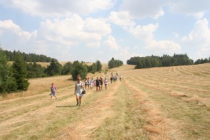Dzień Pszczoły 5